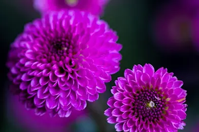 Hướng hợp tuổi